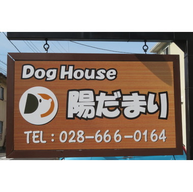 Dog House 陽だまり(ホテル)