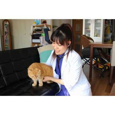 たまがわ動物病院 東京都世田谷区 Eparkペットライフ