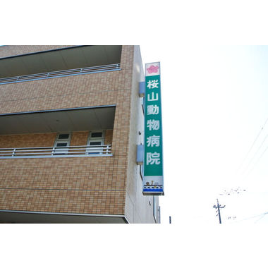桜山動物病院(ホテル)