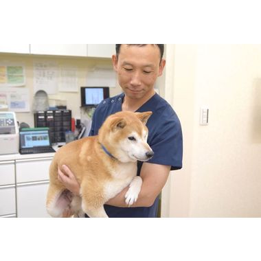 アルフペットクリニック 神奈川県川崎市川崎区 Eparkペットライフ