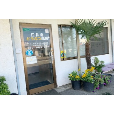 江井島動物病院