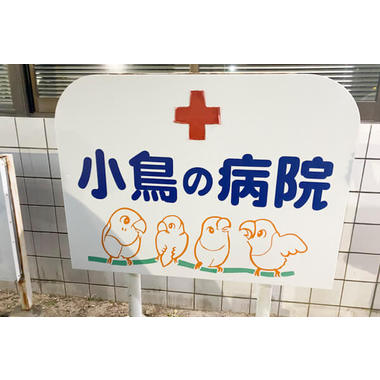 加藤獣医科医院