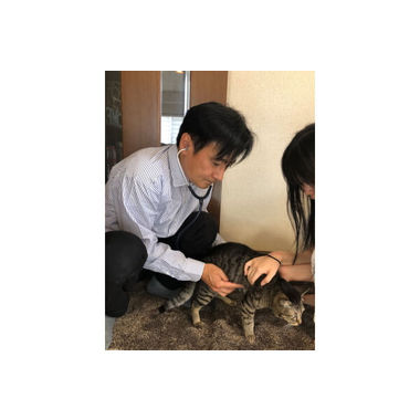 Puppy Cat Clinic【往診専門】
