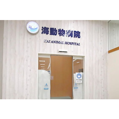 海 動物病院　静岡SBS通り医院