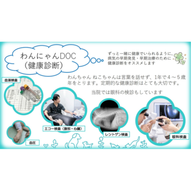 ブルーム動物病院