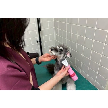 だん動物病院(トリミング)