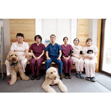 茨城県で犬を動物病院 19件 動物病院の口コミ 写真多数 Eparkペットライフ