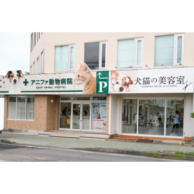 アニファ動物病院 柏病院