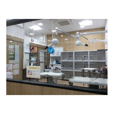 ぺテモ香椎浜店