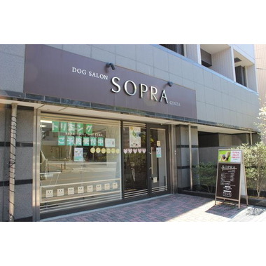 SOPRA GINZA  川口店