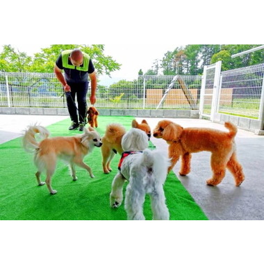 犬の幼稚園 ドッグトレーニングGenius