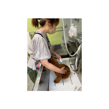 サロンぷぅきみチェリー　犬山店　※名古屋市北区店のご予約も承ります