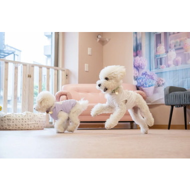 UBU Nursery & Hotel【2025年7月OPEN】