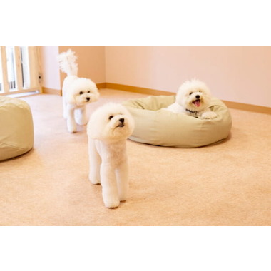 UBU Nursery & Hotel【2025年7月OPEN】