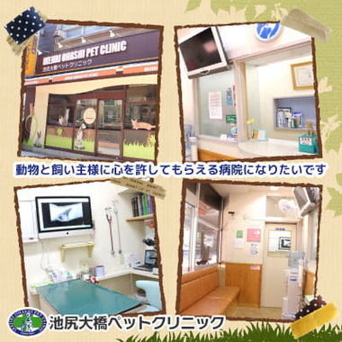 三軒茶屋アニマルクリニック 東京都世田谷区 Eparkペットライフ