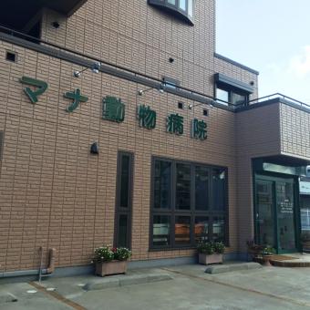 ラブリーたなか 動物 病院 伊丹 最高の動物画像