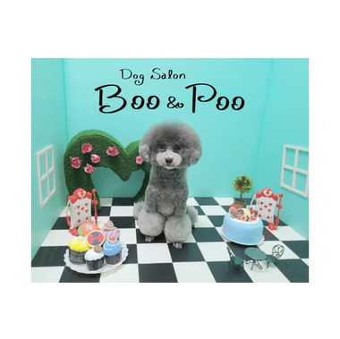 Dog Salon Boo&amp;Poo