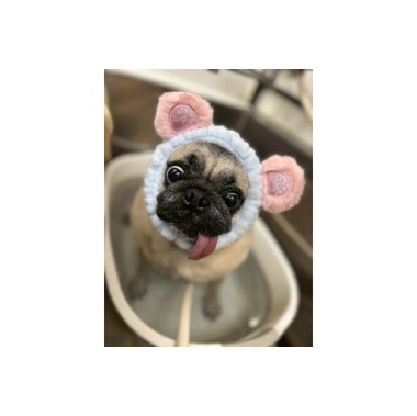 ペットサロン ハイジ 湊川店