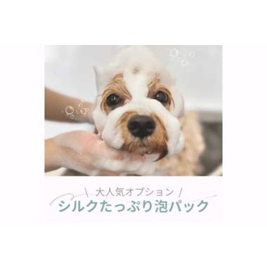 トリミングサロン アロマ ◆当日受付可能です！◆