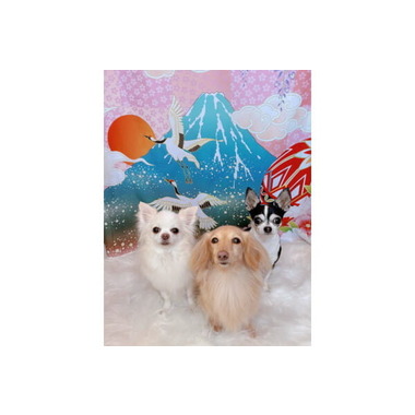 ハッピーケアサロンクッキー