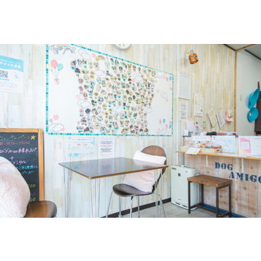 DogAmigo 竹の塚店