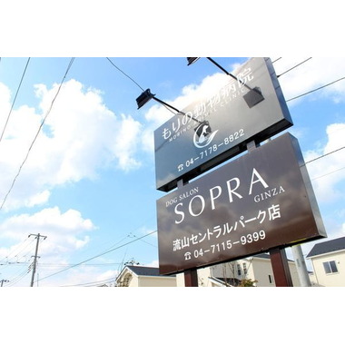 SOPRA GINZA 流山セントラルパーク店