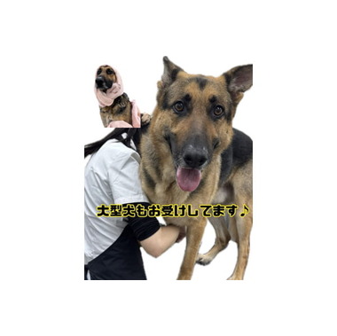 ペッツマックス湘南藤沢店
