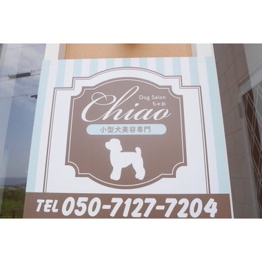 Dog Salon Chiao