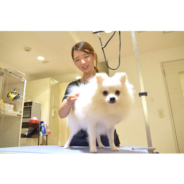 Pet Spa 自由が丘店 ペットサロン トリミング 東京都目黒区 Eparkペットライフ