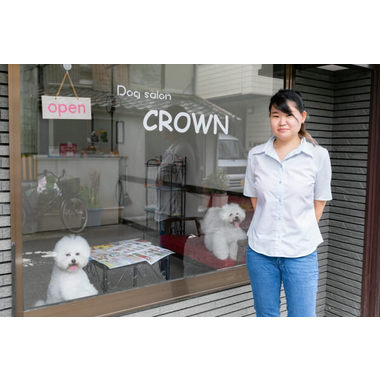 Dog salon CROWN