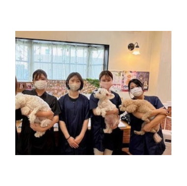 ドッグサロン＆ホテル Daisy Bell