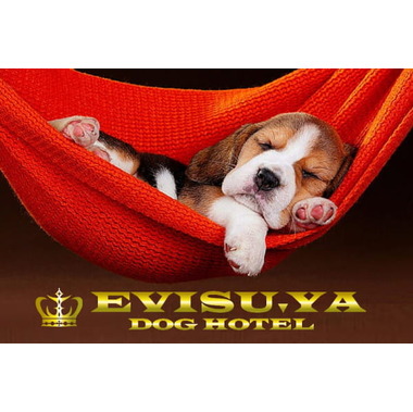 DOGサロン EVISU'YA(ホテル)
