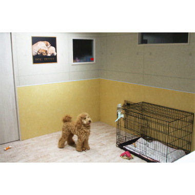 DOGサロン EVISU'YA(ホテル)