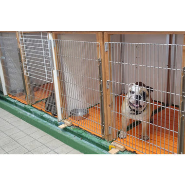 伊豆の国市で大型犬のカウンセリングがあるペットホテル 2件 口コミ 写真多数 Eparkペットライフ