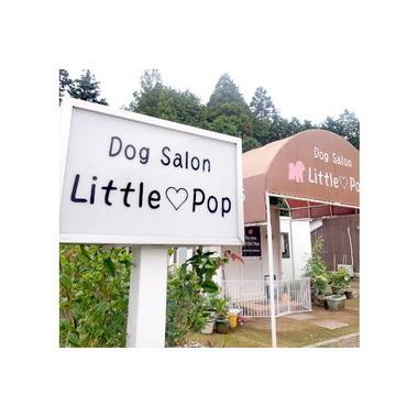 Dog salon Little-pop