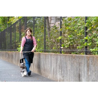 DOGPROSHOPSILVERFANG