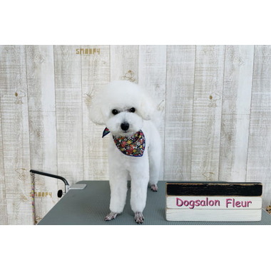Dog salon Fleur