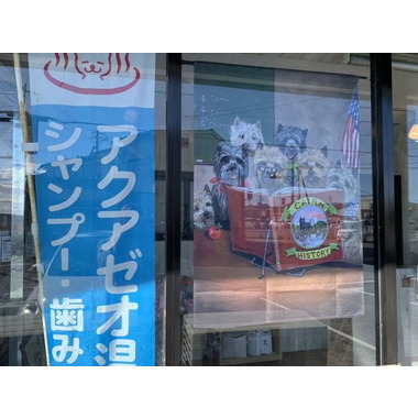 Dog Salon Wagoo【テリア犬種専門】(ホテル)