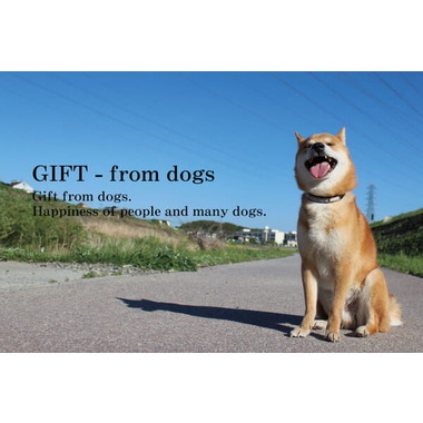 GIFT-from dogs