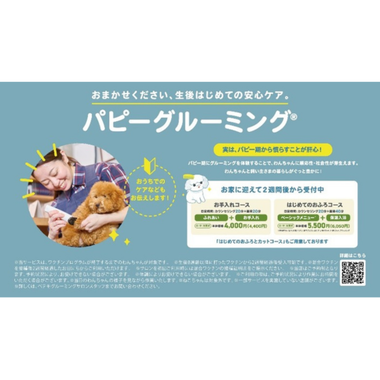 ペテモグルーミングサロン香椎浜店