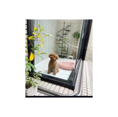 トリミングサロンぽぽちゃん