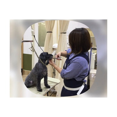 ペテモグルーミングサロン相模原店