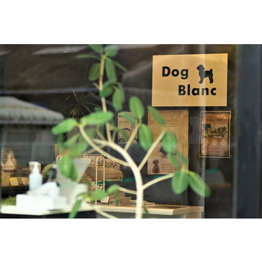 Dog Blanc
