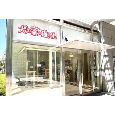 ペットショップ犬の家&猫の里 新宿店