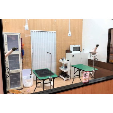 ペットショップ犬の家&猫の里 イオンモール高岡店