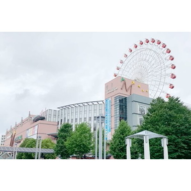 ペットショップ犬の家&猫の里 港北店