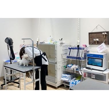 ペットショップ犬の家&猫の里 港北店