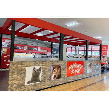 ペットショップ犬の家&猫の里 ニッケパークタウン加古川店