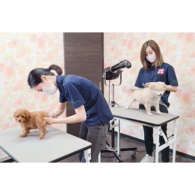 ペットショップ犬の家&猫の里 ニッケパークタウン加古川店