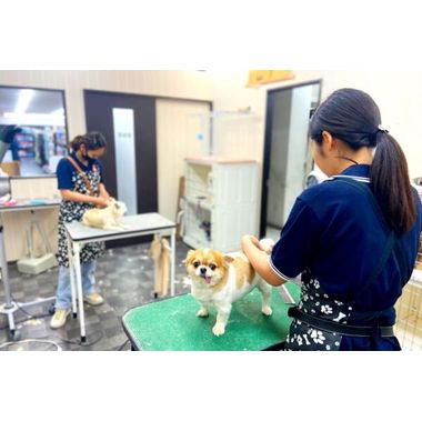 ペットショップ犬の家&猫の里 川西店